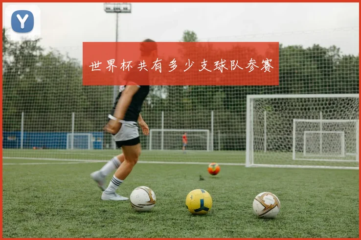 世界杯共有多少支球队参赛