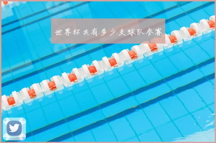世界杯共有多少支球队参赛