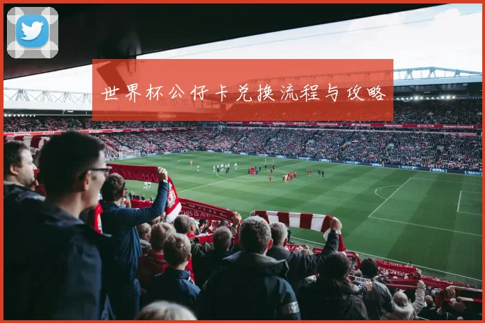 世界杯公仔卡兑换流程与攻略
