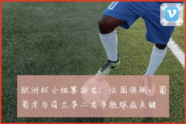 欧洲杯小组赛排名:法国领跑,葡萄牙与荷兰争二名净胜球成关键