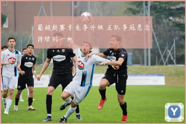 葡超新赛季竞争升级 五队争冠悬念持续到一轮