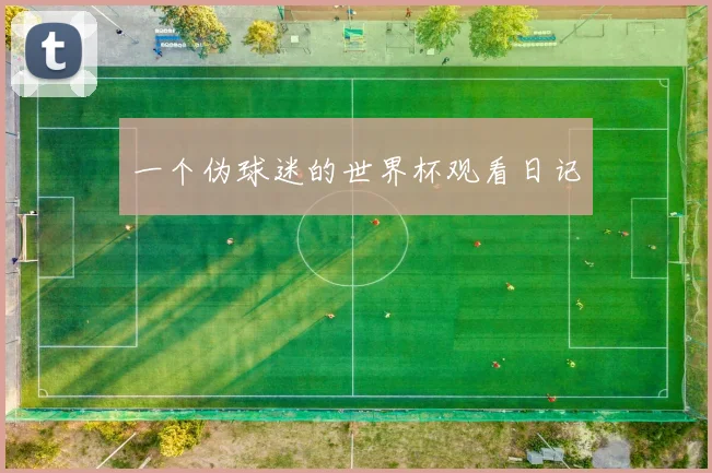 一个伪球迷的世界杯观看日记