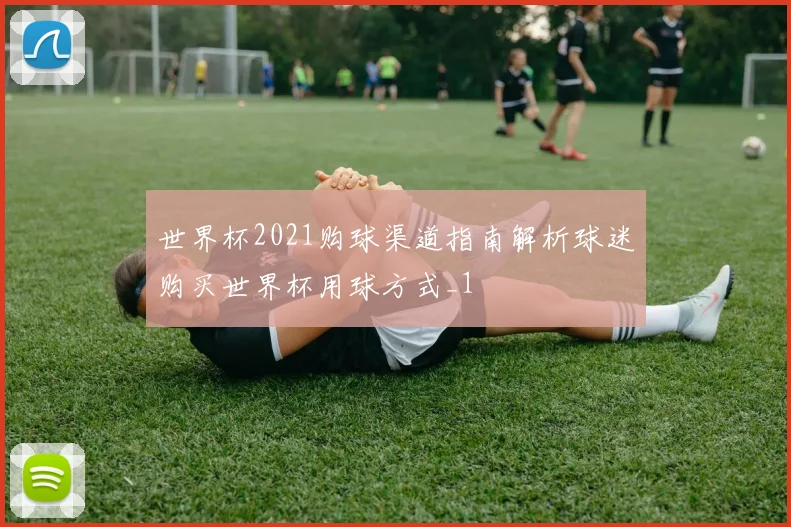 世界杯2021购球渠道指南解析球迷购买世界杯用球方式_1