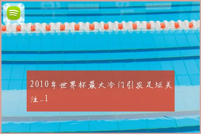 2010年世界杯最大冷门引发足坛关注_1